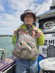 오늘의 조황 - 9/11. 7물때 쭈꾸미 문어 조황 - 무창포 효성낚시