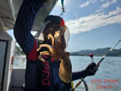 쭈&갑...먹물은 칠갑을해야 제맛 아입니까!!내일은 문어,모레는 쭈&갑으로 달려가겠습니다!! 사진