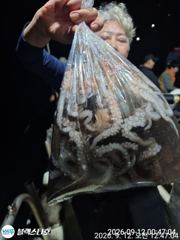 금요일 야문 ~대박조황~ 사진