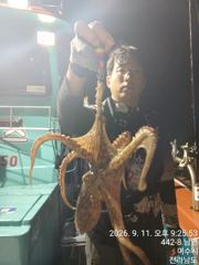 탑클라스 야간 돌문어. 조황입니나~~~^^ 사진