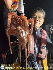 [포항] 돌문어 잘 올라 옵니다.일요일 오전.오후 예약중 사진