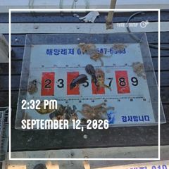 (09/12) 통영 풍화리 선외기 흘림찌낚시 감성돔 실시간 영상