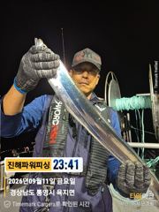 [진해] [갈치/텐빈/텐야]긴휴식끝~2.5~3지오버까지 쿨러조황까지[월.… 사진