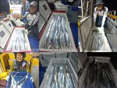 [뉴-한사리호]12일철수갈치씨알+마릿수조황입니다