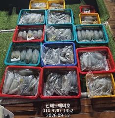[진해] 팁런무늬오징어 연일세자리 내일예약가능합니다 사진