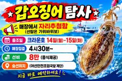 <썬스타> 오전 쭈꾸미 마무리(12일) 사진