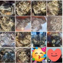 [여수,광양] ♡9월12일 여수야호 쭈꾸미조황 #개인기록갱신 #14일부터자리여… 사진