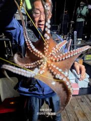 (문어)장원 27수 6연타 기록 세 자릿수 퍼 담고~강민호(13일 예약)