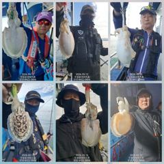 [무창포아파치호]9월12일(토),사릿물때,쭈갑출조,느나느나따박따박~굵은씨알과마릿수로망태기푸짐한조황~ㅎ화,수요일(15일,16일)자리여유,전화주세요~010-8422-0866 사진