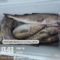 9/12 군산 "쭈꾸미" 최종조황~!! [군산 갤럭시호] 사진