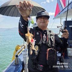 쭈꾸미~♪ 9 .12( 토요일 ) [[[ 무창포프로낚시 ]]] <<<<< 빅 마 린 >>>>> 쭈 꾸 미 조황보고.... 사진