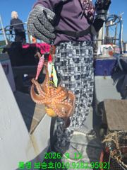 문어 실시간입니다 사진