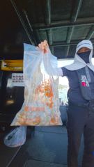 10일 사리물때 왕쭈꾸미 조황임다!! 사진