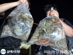 토요일 야문 오늘도 장원30수ㅇ숸 사진