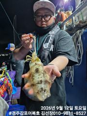 무늬오징어낚시 k급도 나와주네요! 사진