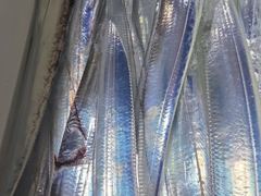 [거제블루]먼바다 갈치텐빈 시원시원한입질 쿨러빵빵하게 내일예약가능~~ 사진