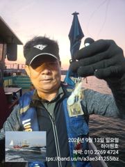 13일, 군산쭈꾸미~날씨만 좋다면 물때 상관없는 굿조황~점점 좋아지는 쭈구미~실시간~내일도 갑니다~군산낚시프라자 하이원호 사진