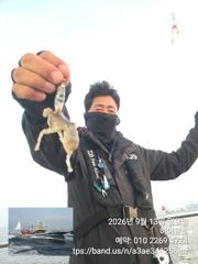13일, 군산쭈꾸미~날씨만 좋다면 물때 상관없는 굿조황~점점 좋아지는 쭈구미~실시간~내일도 갑니다~군산낚시프라자 하이원호 사진