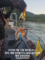 통영 금정호 문어선상 마릿수 시작합니다 내일오후 자리있어요 사진
