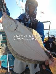 9월12일 "대광어 날마다 난리"~농어,우럭등 오늘도 예외없이… 사진