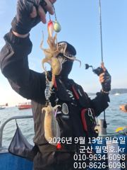 13일, 군산쭈꾸미~ 싸이즈도 점점~물때 상관없는 조황~오전반 굿조황~군산낚시프라자 월명호 사진