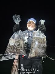 삼천포 문어조황! 주간반, 야간반 매일출조! 사진