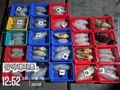 [통영] [팁런]감자,no,고구마,무시급으로(일요일,소수인원,출항확정) 사진