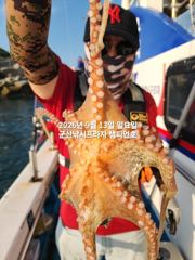 13일, 주간문어 가을시즌~싸이즈 좋아진 문어들~~실시간~군산 챔피언호 사진