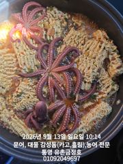 통영 금정호 오전문어선상 마릿수 좋습니다 내일 오후선상 자리있어요 사진
