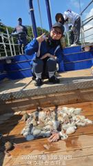 [ 여수만진스타호 ] 새벽문어 오늘도 초대박!! 장원 40여수부터 총 350수 이상~~ 오늘 밤 9자리여유~~ 사진