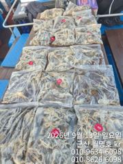 13일오후반 사진