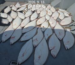 9월13일 (일) 광어 단체 출조 다녀왔습니다 (내일 쭈꾸미 여유자리있습니다) 사진