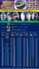 ♥붉바리들..이정도는 잡아봐야지요 초대박 붉바리조황입니다[2026년09월13일 ] ◎ 해마루호가 뜨는이유? 조황때문이죠 ◎ 핵심포인트: 바로진입.. 바로히트.. ◎ 차원이 다른 ... 사진