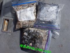 26년9월13일 조황