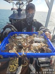 9월 12일 쭈꾸미/갑오징어 조황입니다. 사진