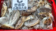 스페이스호 9월13일 갑오징어 조황 입니다