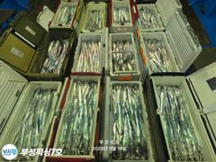 [부성피싱]먼바다 왕칼치 오늘도 다녀왔습니다 쿨러가득...쿨러조황!!내일 화요일 예약가능
