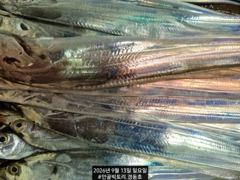 경동호 먼바다왕갈치외줄 16석 대치속풀치~월요일 화요일 예약가능 사진
