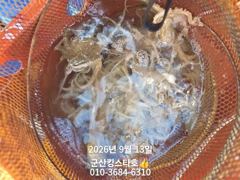 군산킹스타호(9/13)쭈꾸미 마무리조황 (내일도출조합니다 ~ 사진