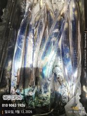 9월13일 입항 먼바다 텐빈 조황