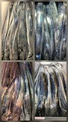긴~휴식 오랜만에 출항 갈치들이 반겨주네요! 사진
