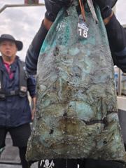 먹물 글만 보기