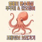 9월 13일 쭈꾸미&갑오징어 조황 사진