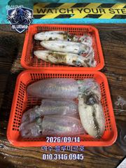 9월14일 팁런조황!! 사진
