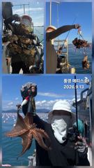 통영] 문어 사량도 굴어장 조황 13일(일) 통영 메티스호