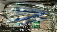 [통영] 14일 입항보고 드립니당