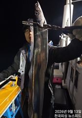 [진해] 준내만3지4지씨알급손맛끝장철수조황(오늘출항예약가능) 사진