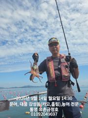 [통영] 통영 금정호 오늘 오후 문어 출항합니다 자리있어요~~