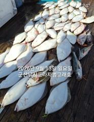 9월13일 대광어~참돔,우럭등 다양한 손맛~마릿수조황~내일도 갑니다~ 군산낚시프라자 범고래호 사진