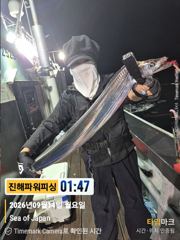 [진해] [갈치/텐빈/텐야]14일입항!! 2.5~4지까지 쿨러가득담고[화… 사진